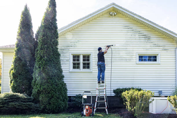 Best Roof Pressure Washing  in Vermilion, OH